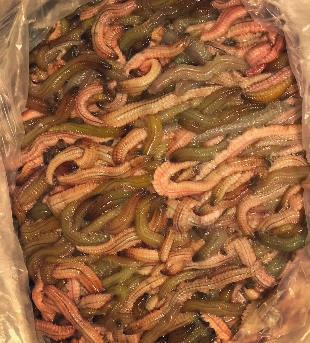 am thuc Viet Nam anh 9