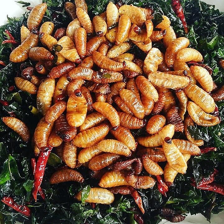 am thuc Viet Nam anh 2