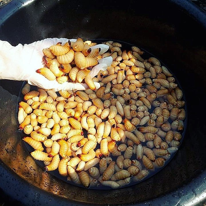 am thuc Viet Nam anh 3