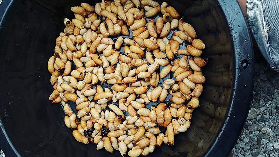 am thuc Viet Nam anh 1