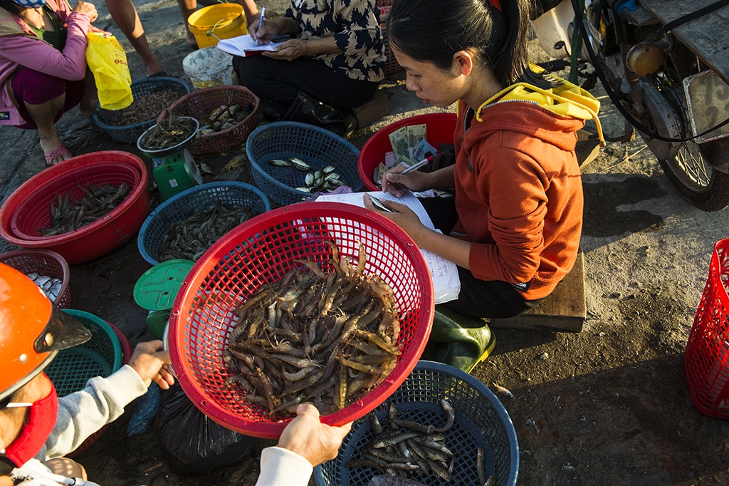 Du lịch Huế ảnh 3 Du lich Hue anh 3