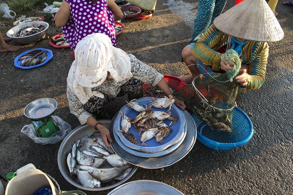 Du lịch Huế ảnh 4 Du lich Hue anh 4