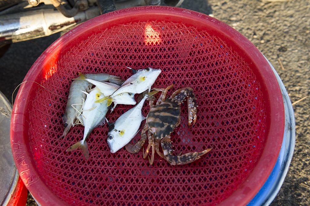 Du lịch Huế ảnh 5 Du lich Hue anh 5