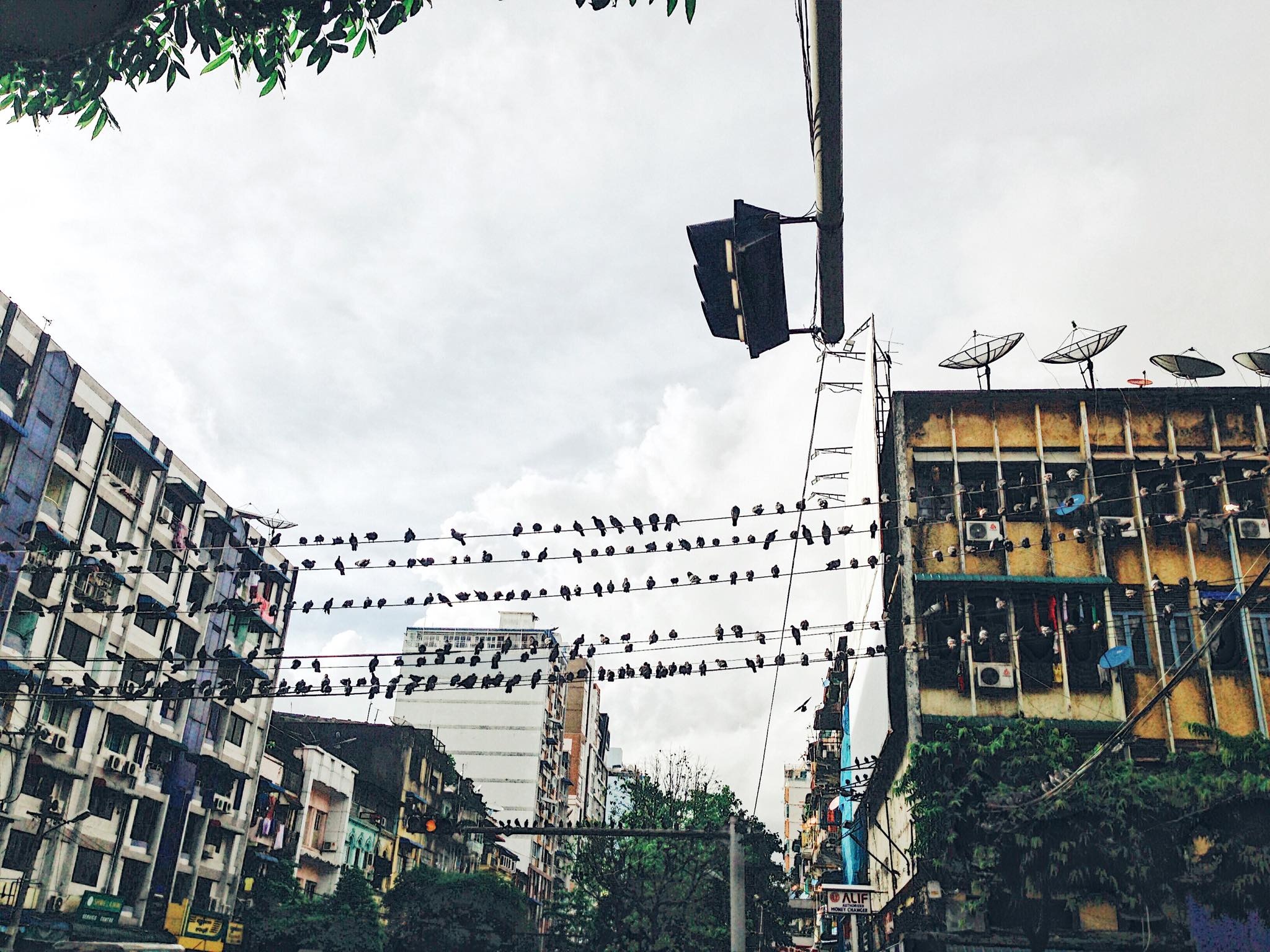 du lich dip 2/9 anh 24