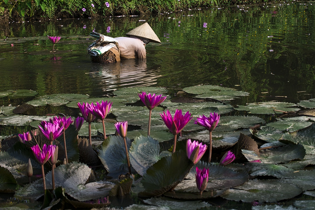 Ninh Bình 2/9 ảnh 2 Ninh Binh 2/9 anh 2