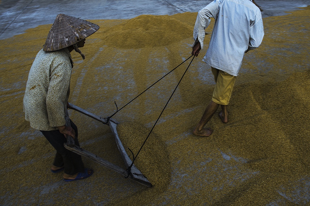 Ninh Bình 2/9 ảnh 4 Ninh Binh 2/9 anh 4