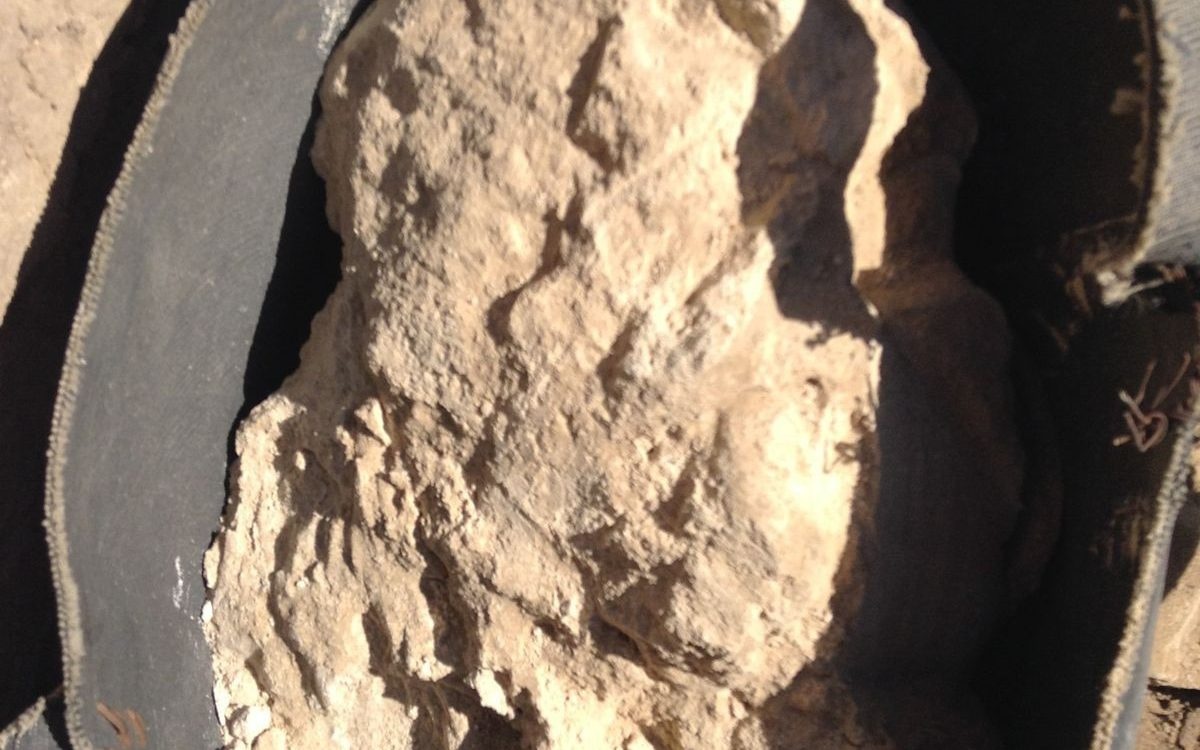 Hu pho mai co nhat the gioi trong ngoi mo 3.300 tuoi o Ai Cap hinh anh