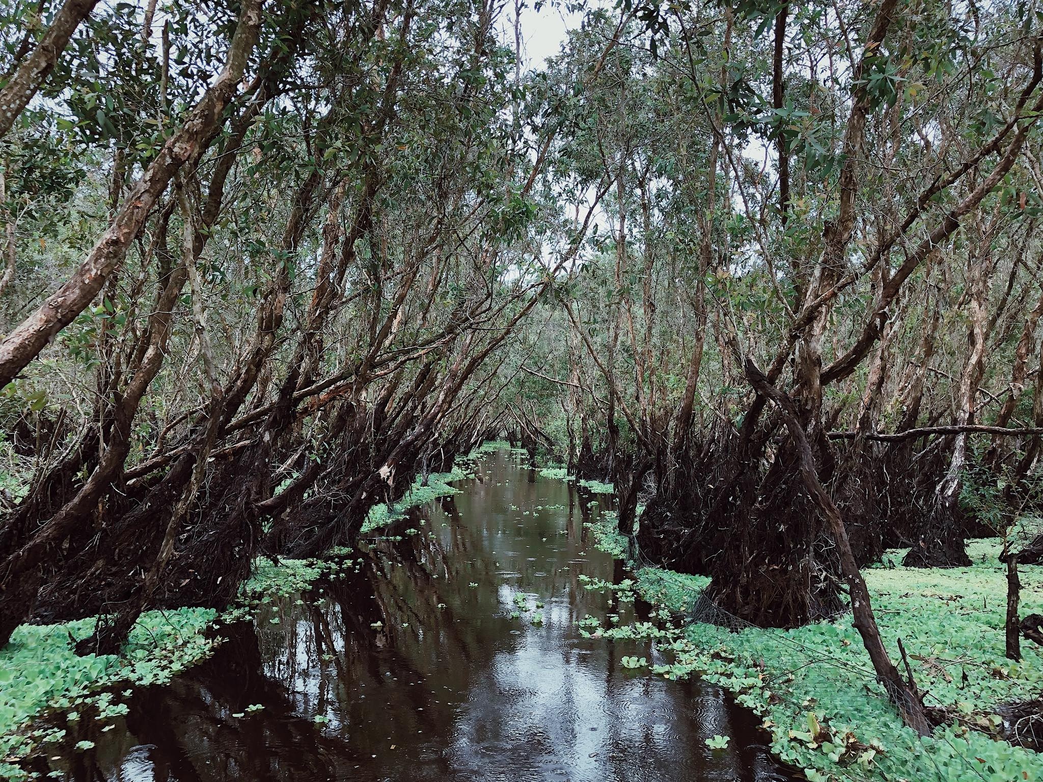 du lịch 2/9 ảnh 4 du lich 2/9 anh 4