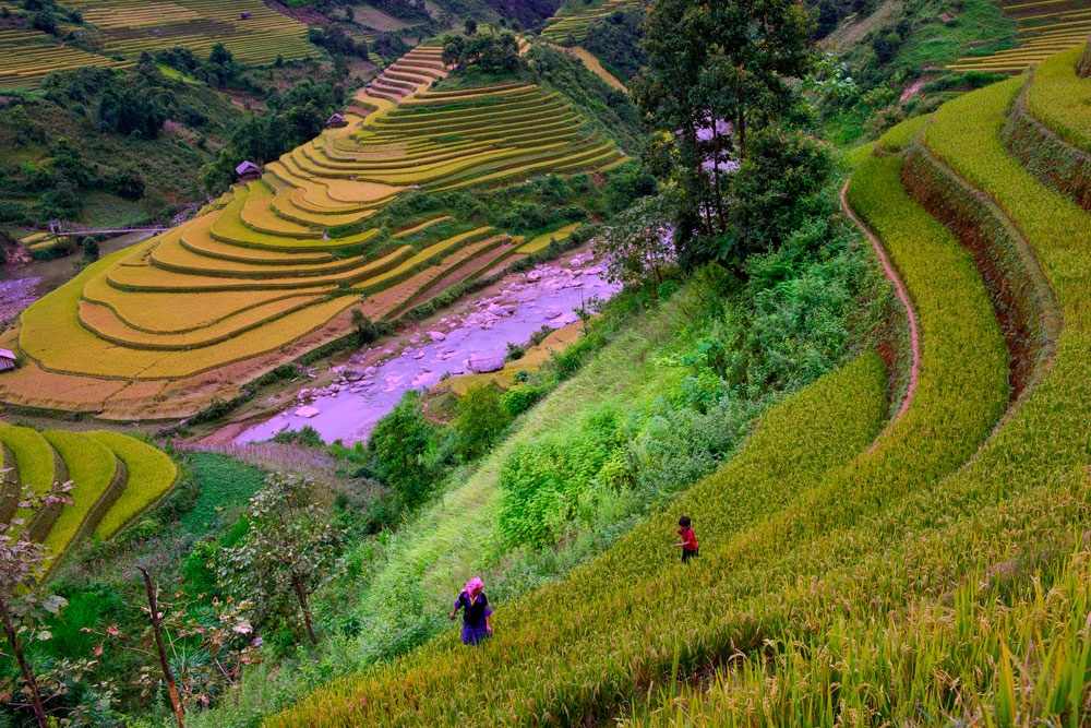 Mu Cang Chai anh 8