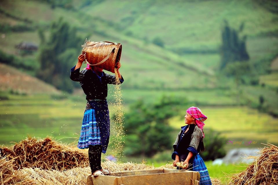 Mu Cang Chai anh 9