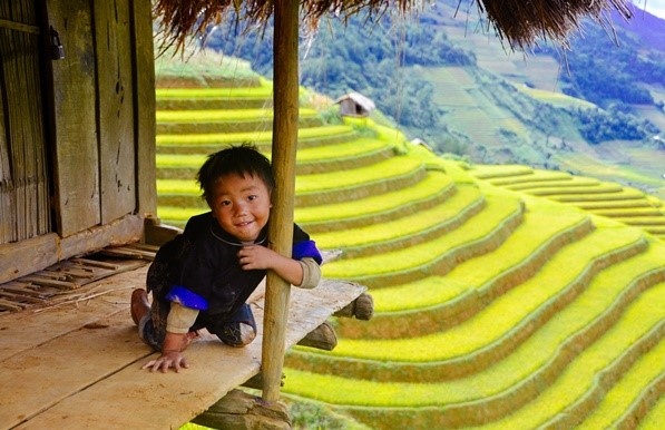 Du lich 2/9: Len vung cao ngam Mu Cang Chai mua vang dep hut hon hinh anh