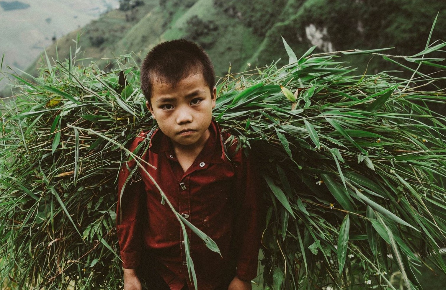 Ghe Ha Giang mua lua chin, chiem nghiem cuoc song binh di hinh anh