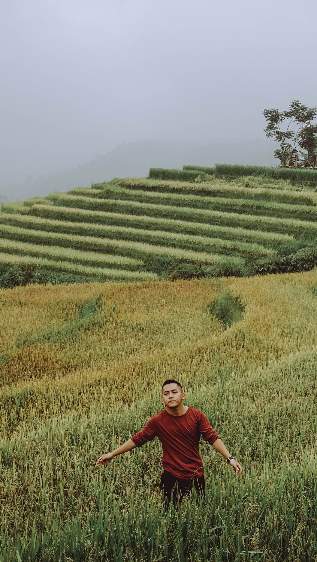 Sa Pa mua lua chin anh 8