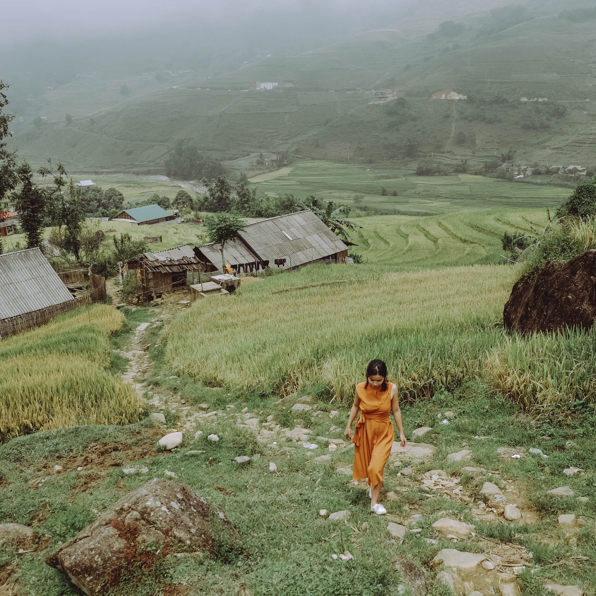 Sa Pa mua lua chin anh 3