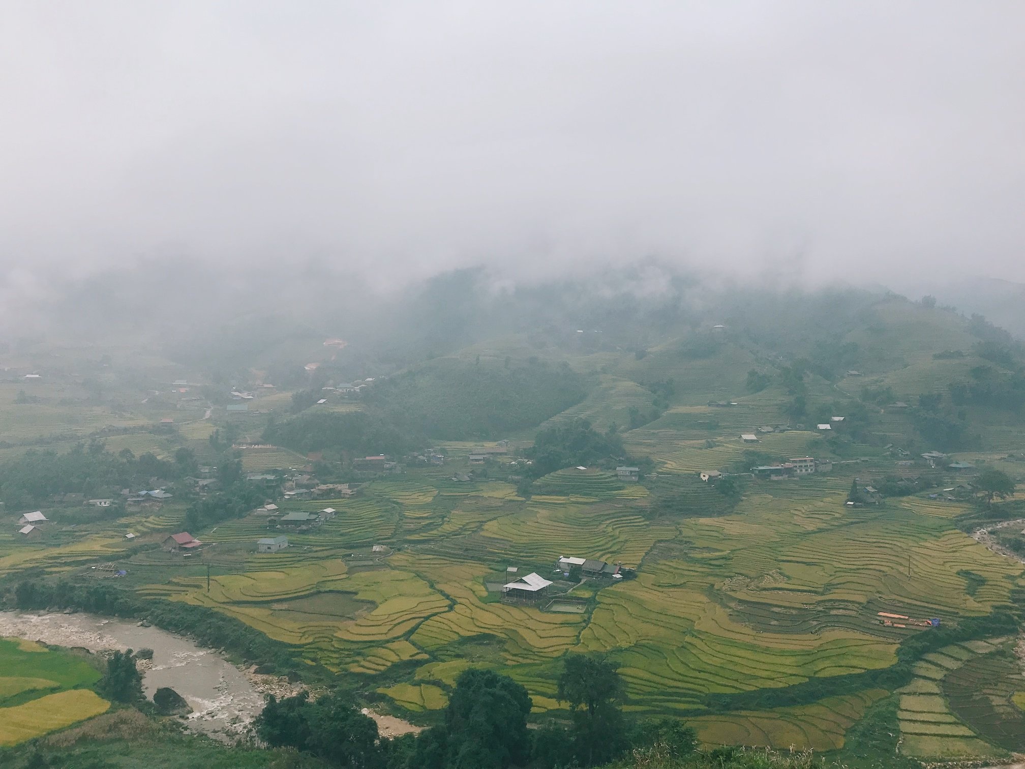 Sa Pa mua lua chin anh 14