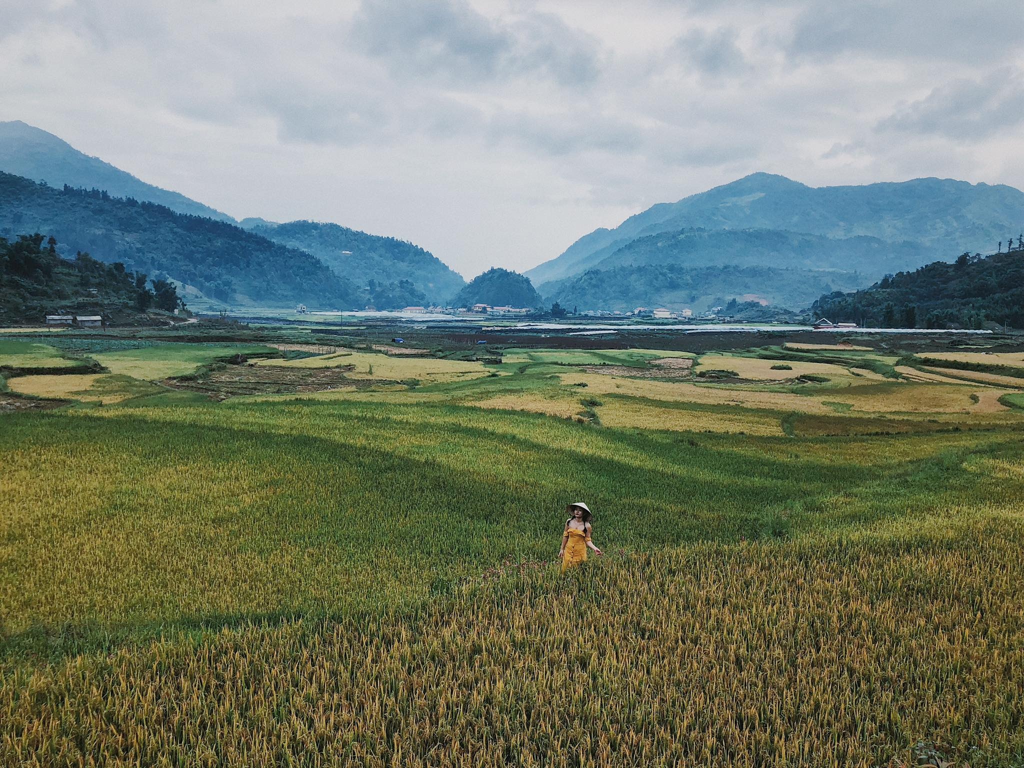 Sa Pa mua vang anh 10