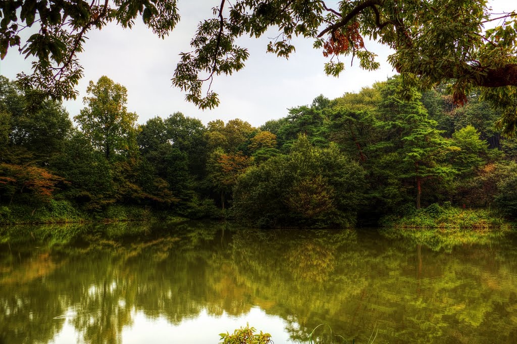 Diem den trong phim hoat hinh Nhat anh 11