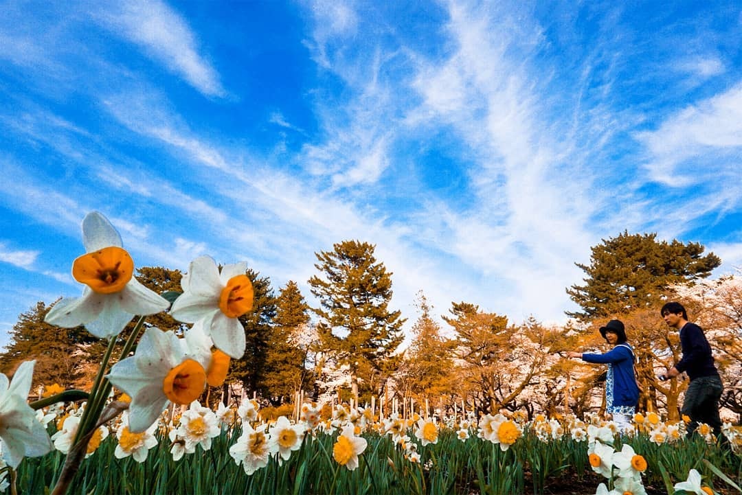 Diem den trong phim hoat hinh Nhat anh 2