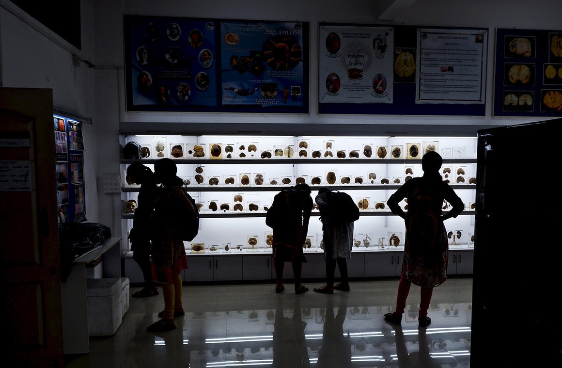 Bảo tàng não người ảnh 7 Bao tang nao nguoi anh 7