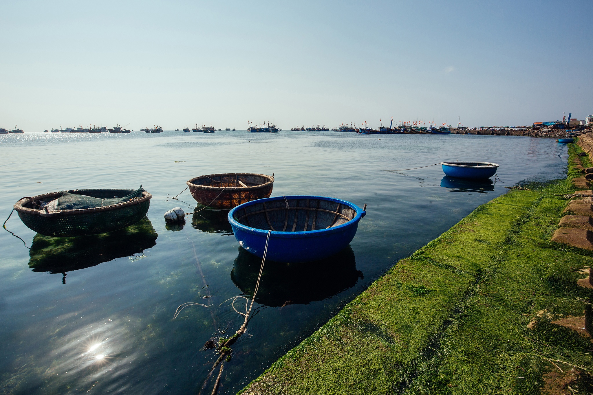 Ly Son hoang so anh 10