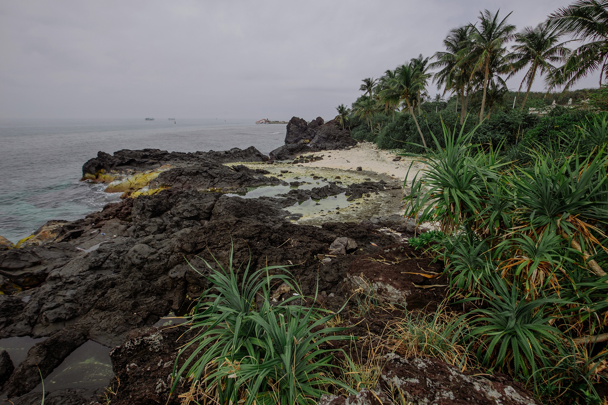 Ly Son hoang so anh 5