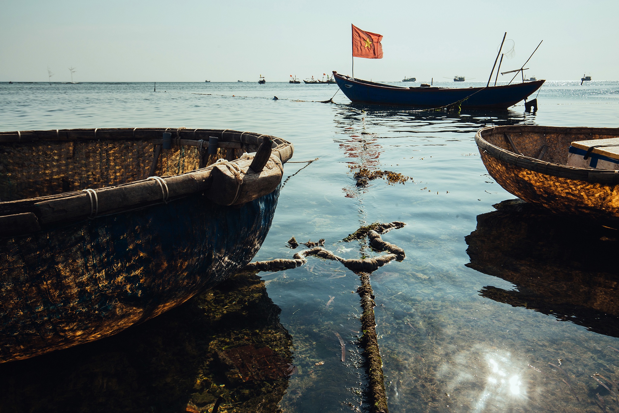 Ly Son hoang so anh 1