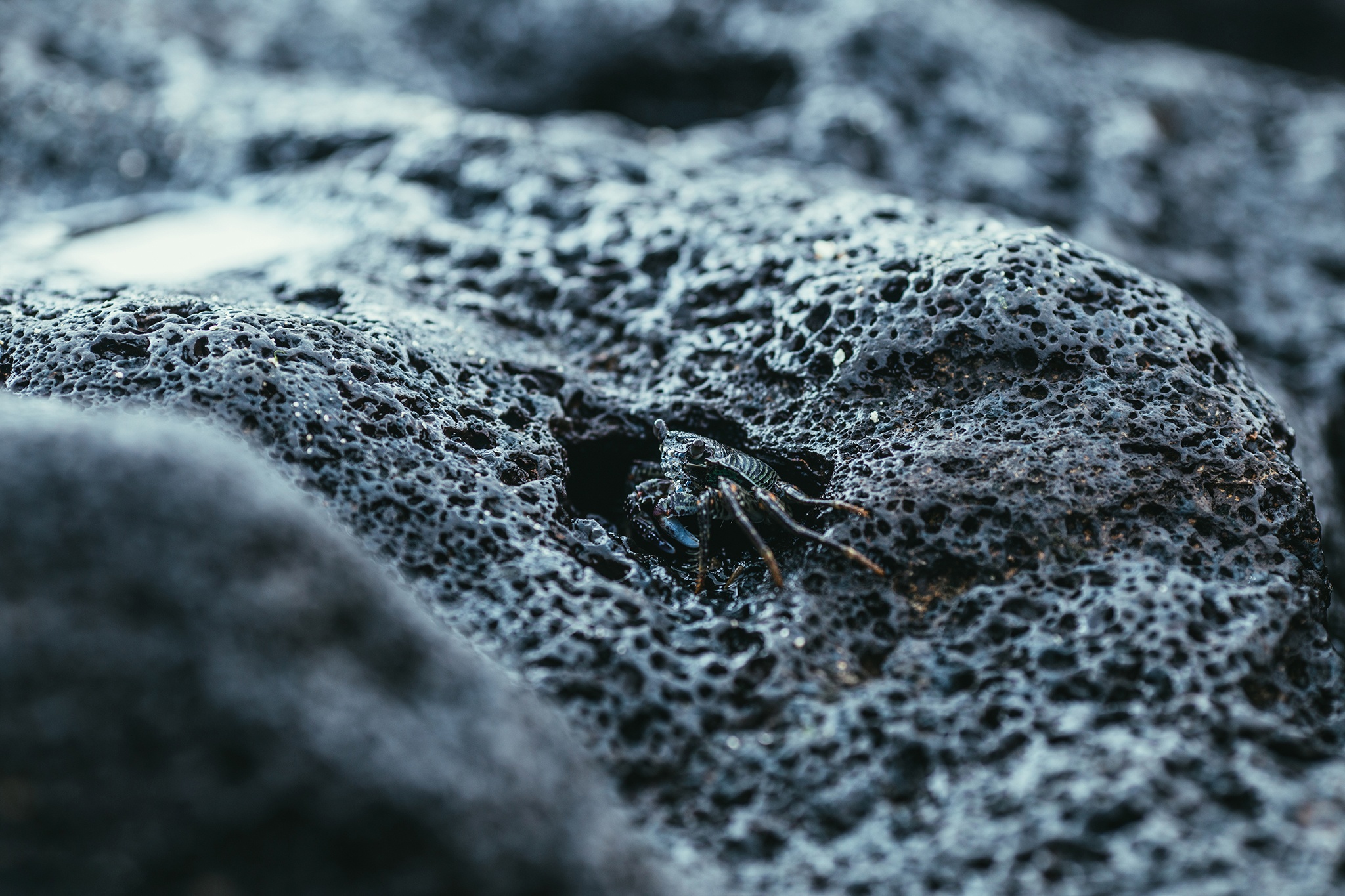 Ly Son hoang so anh 15