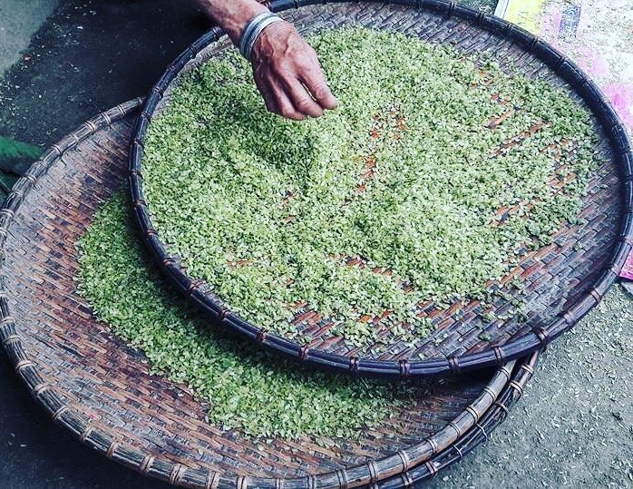 Thang 10, ru nhau len Tay Bac kham pha am thuc nui rung hinh anh