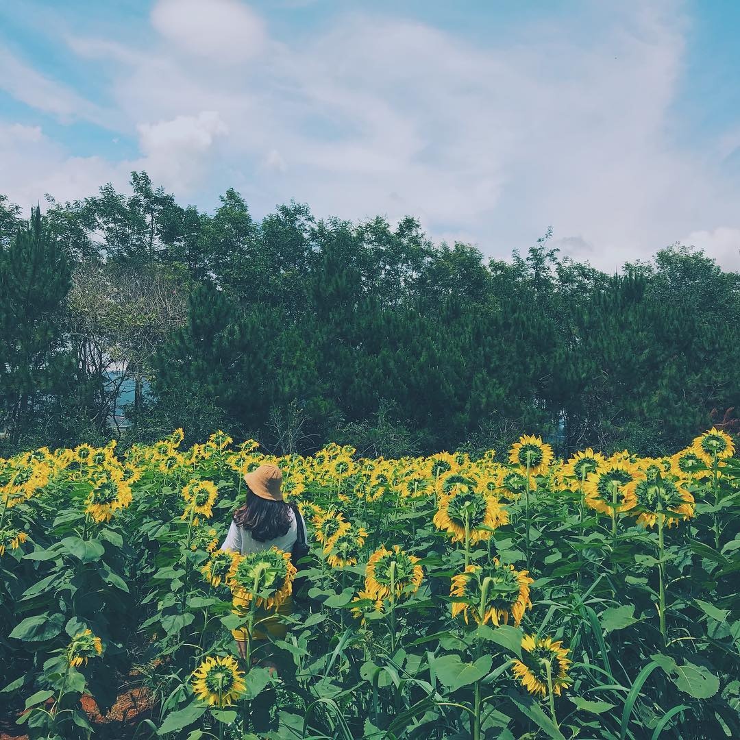 mua hoa thang 10 anh 15