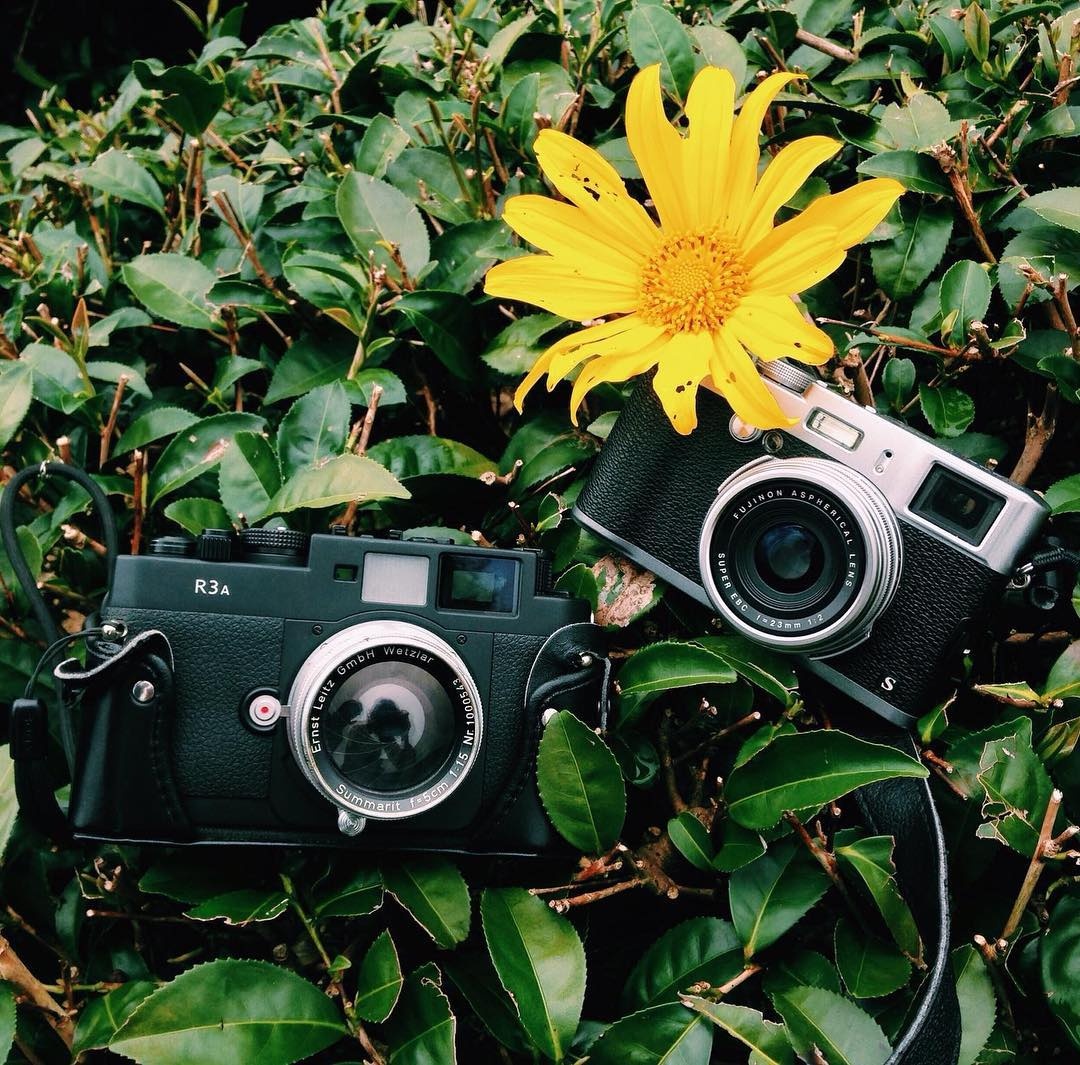 mua hoa thang 10 anh 11