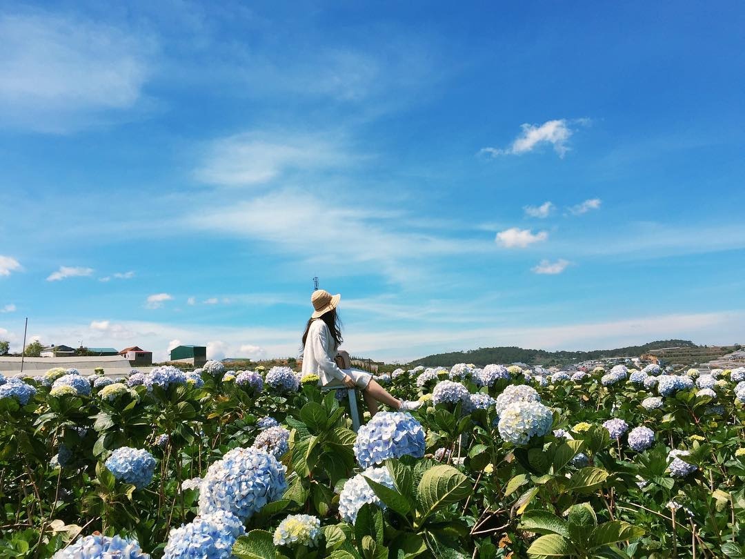 mua hoa thang 10 anh 21