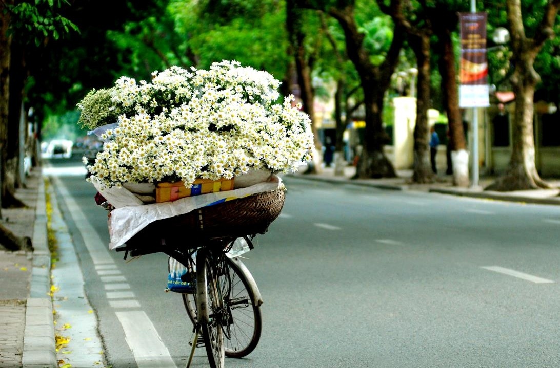 mua hoa thang 10 anh 8