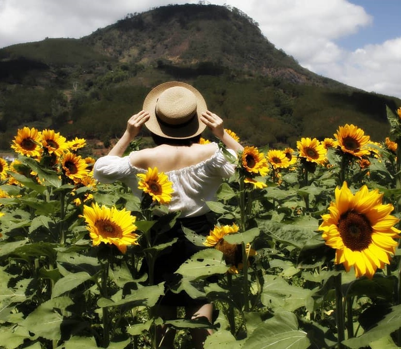 mua hoa thang 10 anh 16