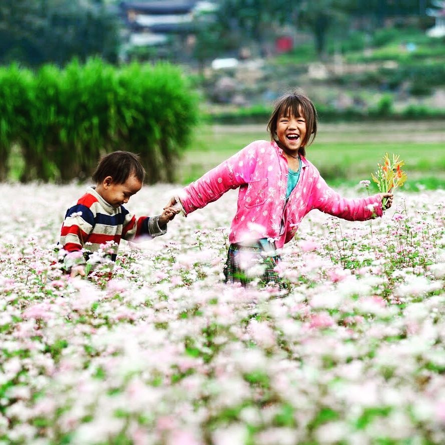 mua hoa thang 10 anh 4