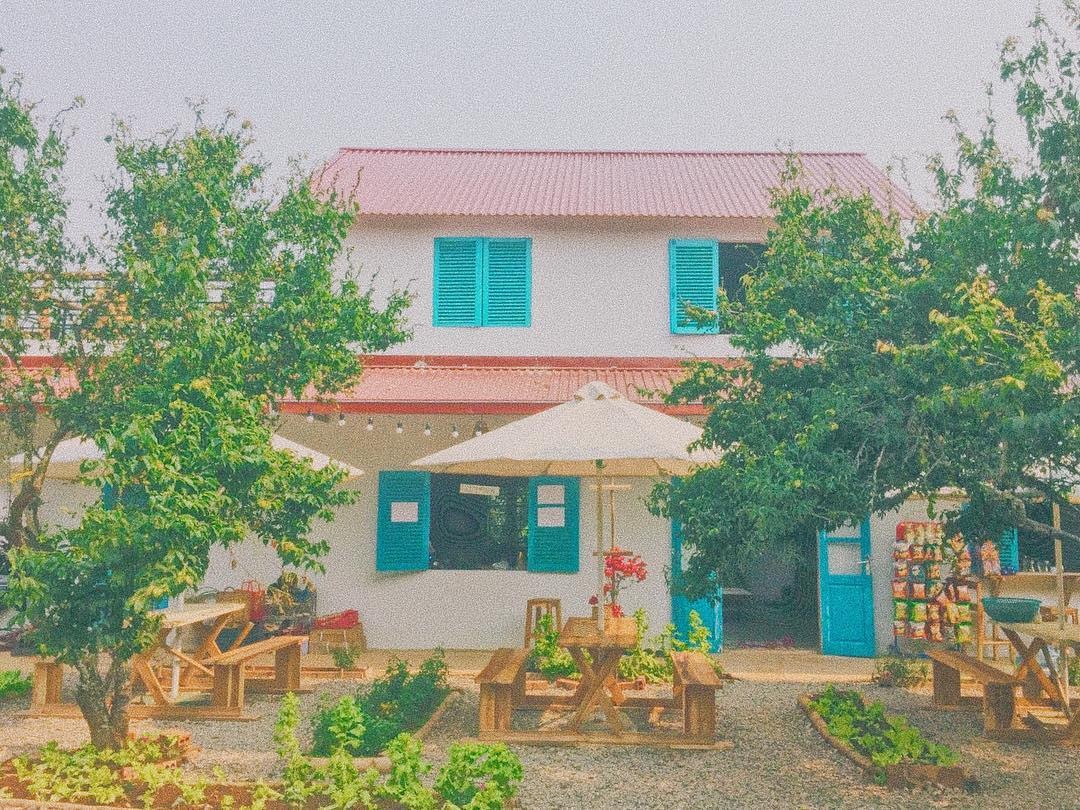 Homestay Moc Chau anh 4