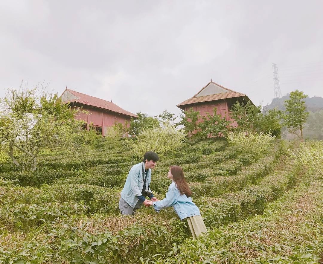 Homestay Moc Chau anh 15