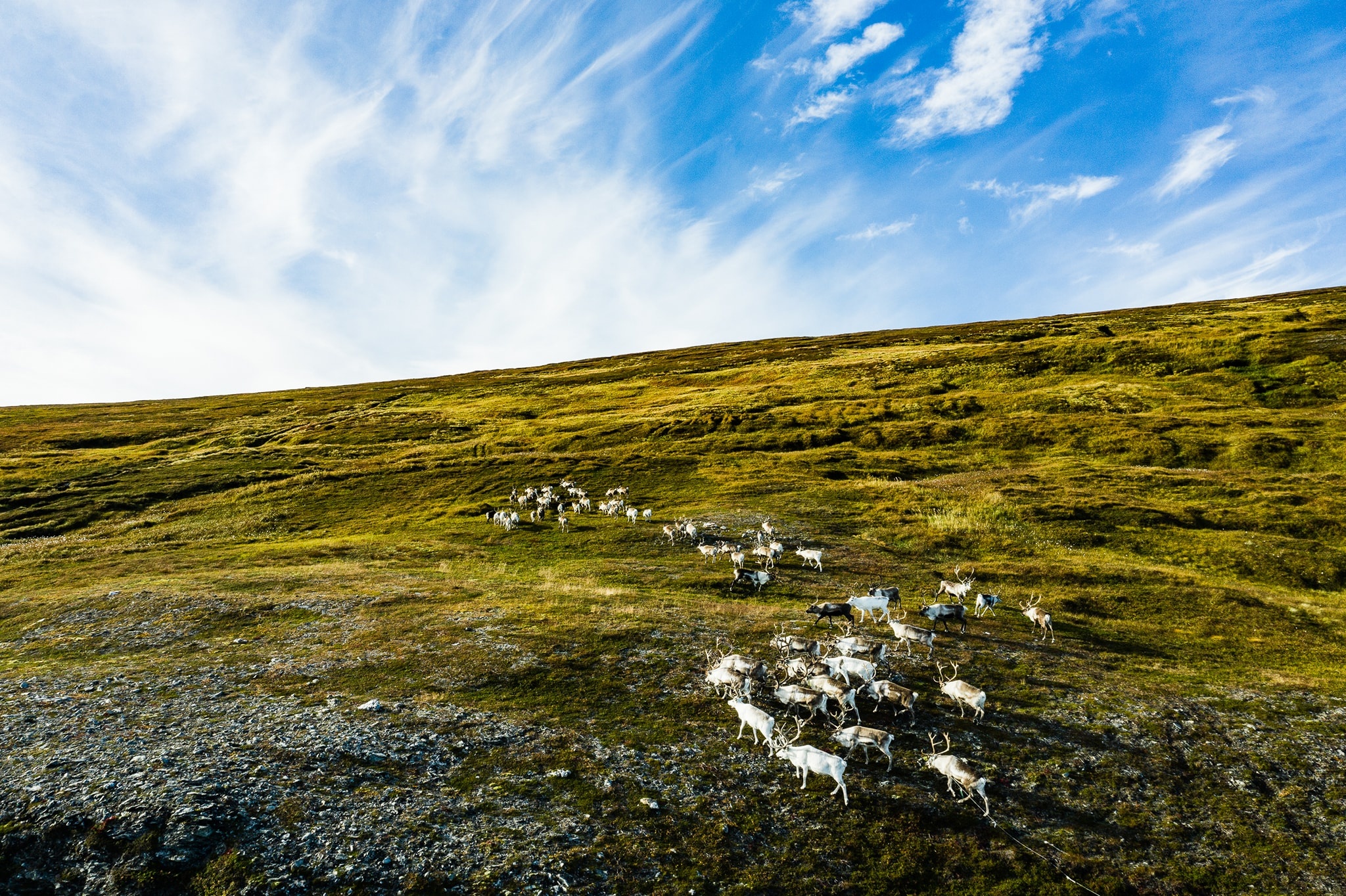 Mua thu Na Uy anh 18