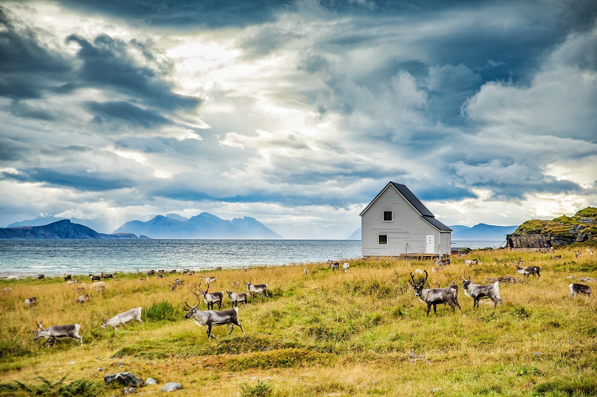 Mua thu Na Uy anh 22