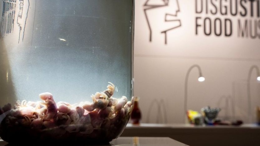 Bảo tàng đồ ăn kinh dị ảnh 3 Bao tang do an kinh di anh 3