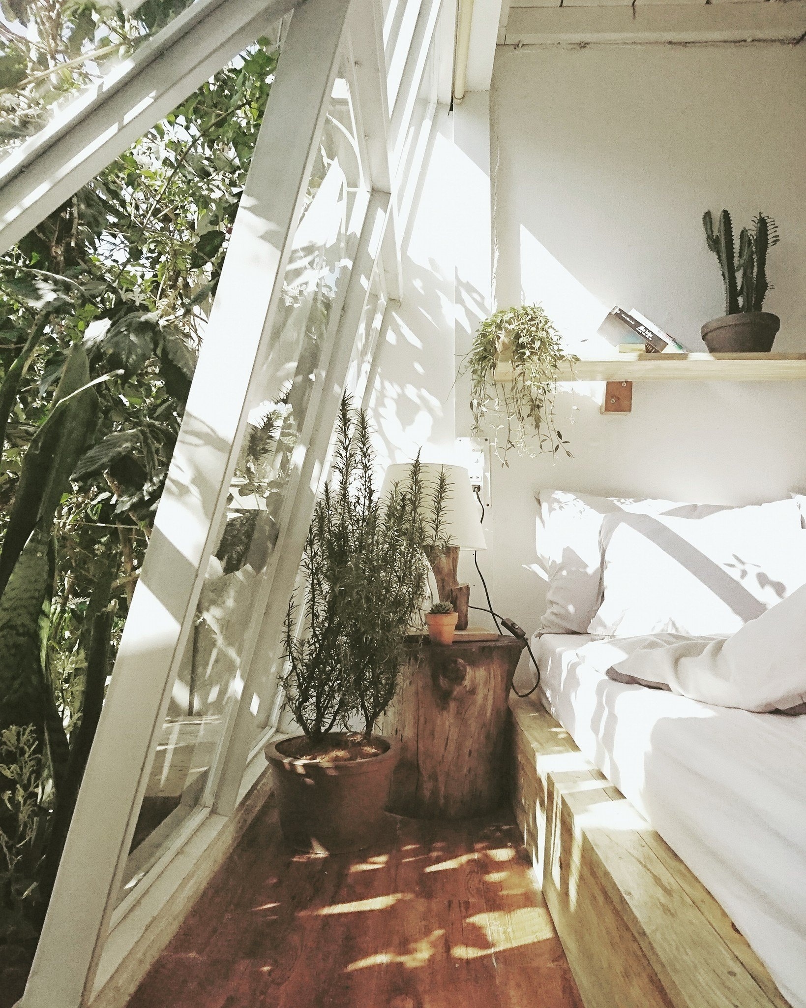 Homestay Da Lat anh 5