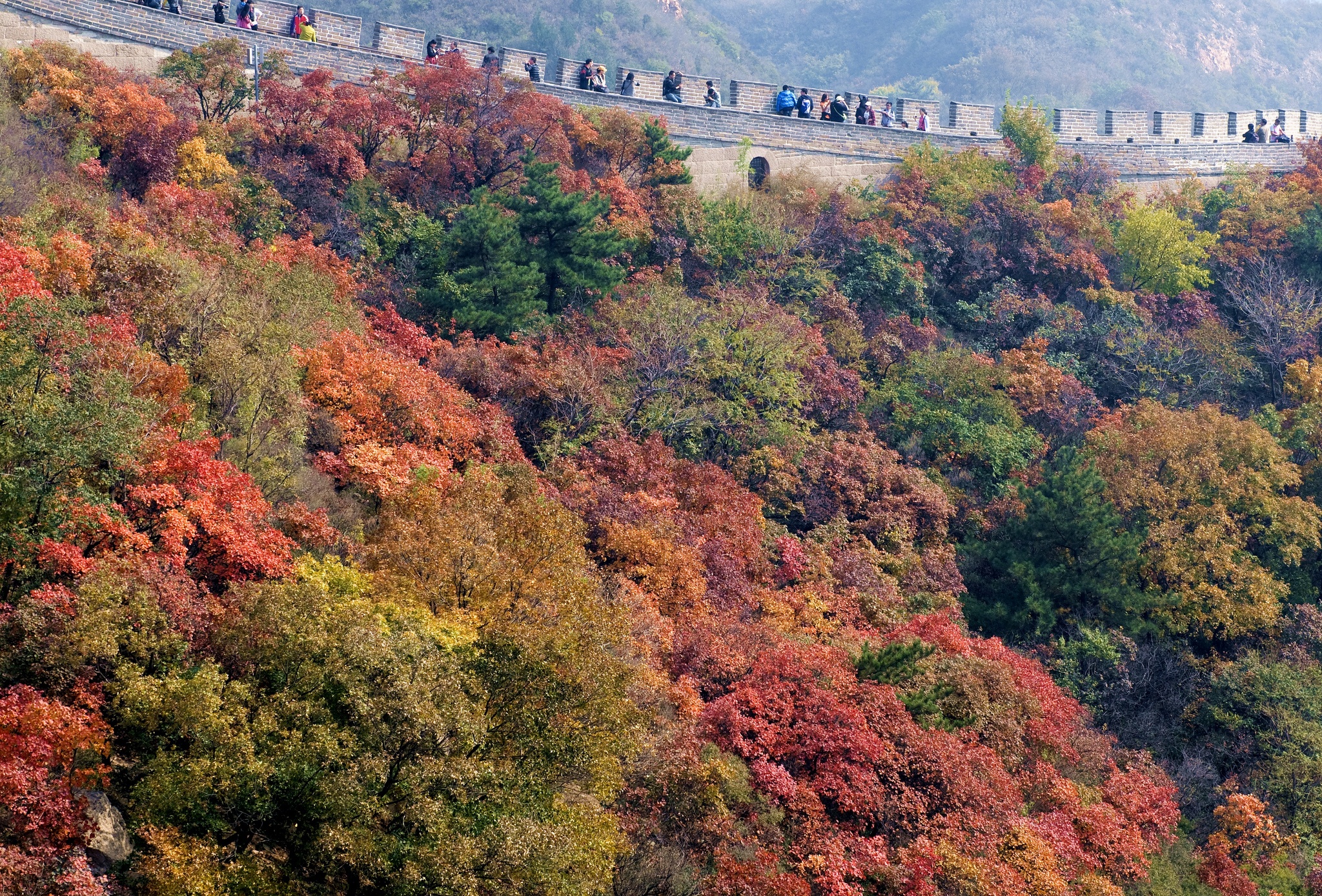 Van Ly Truong Thanh mua thu anh 7