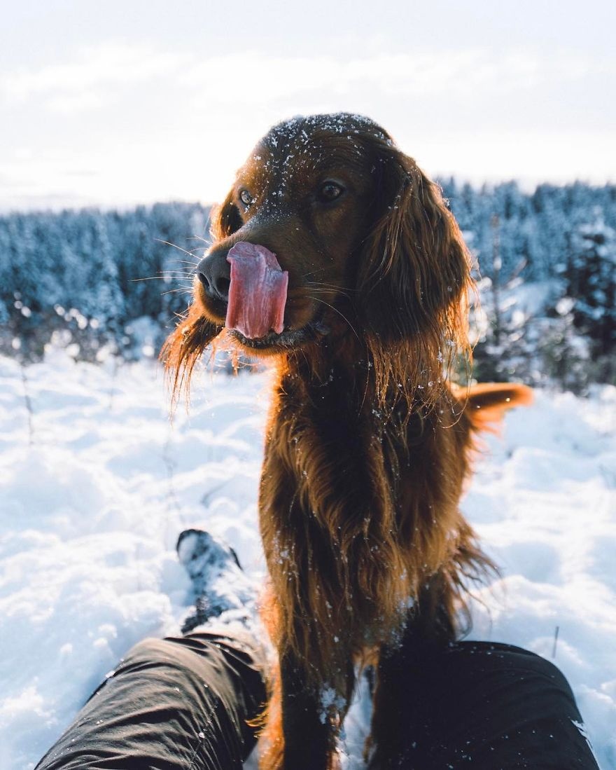 Chu cho noi tieng nho du lich cung chu anh 18
