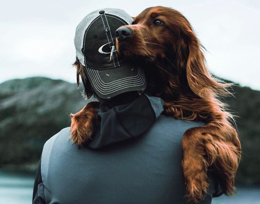 Chu cho noi tieng nho nhung buc hinh check-in cung chu tai rung Na Uy hinh anh