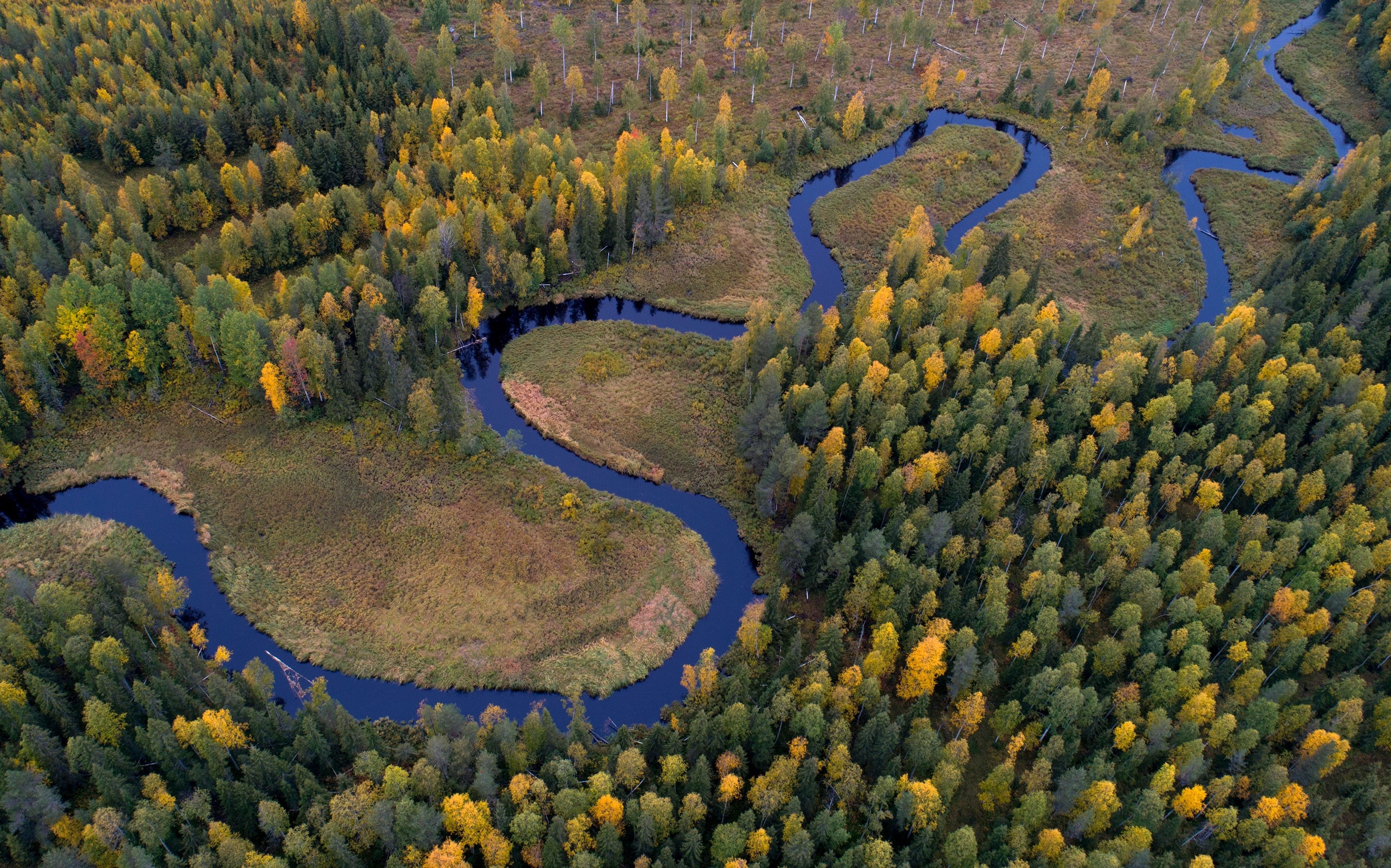 Mua thu the gioi tu tren cao anh 8