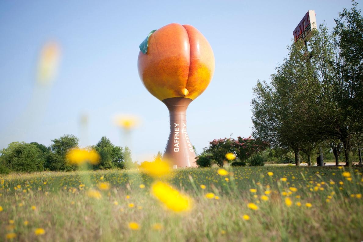 trung nang mot tan anh 2