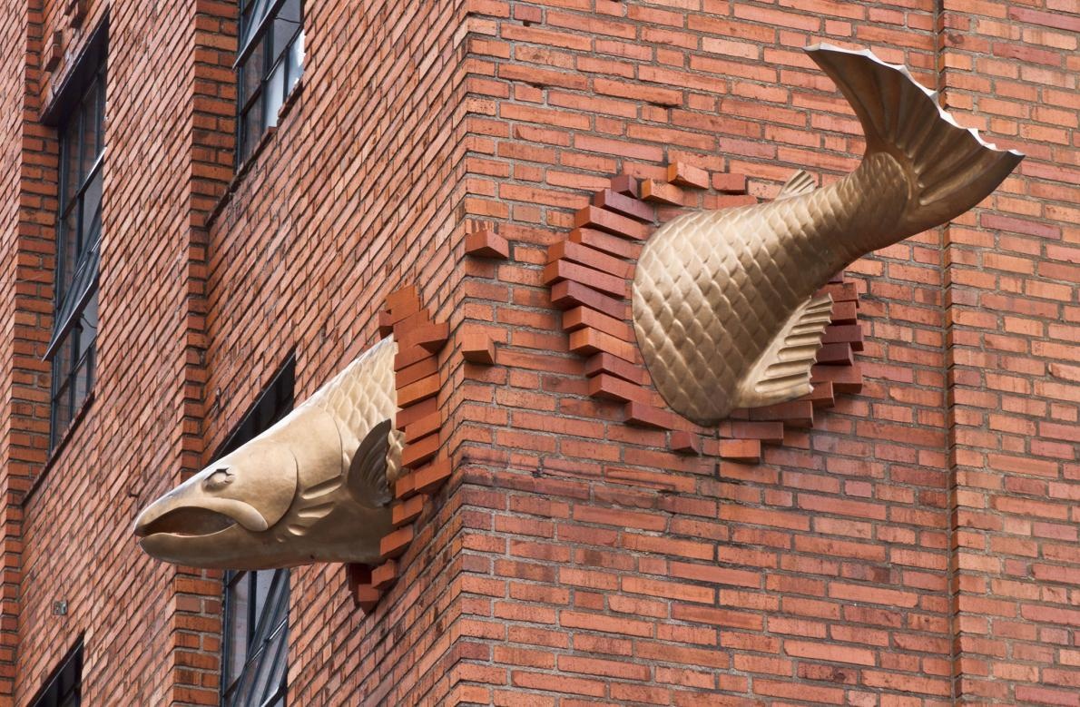 trung nang mot tan anh 4