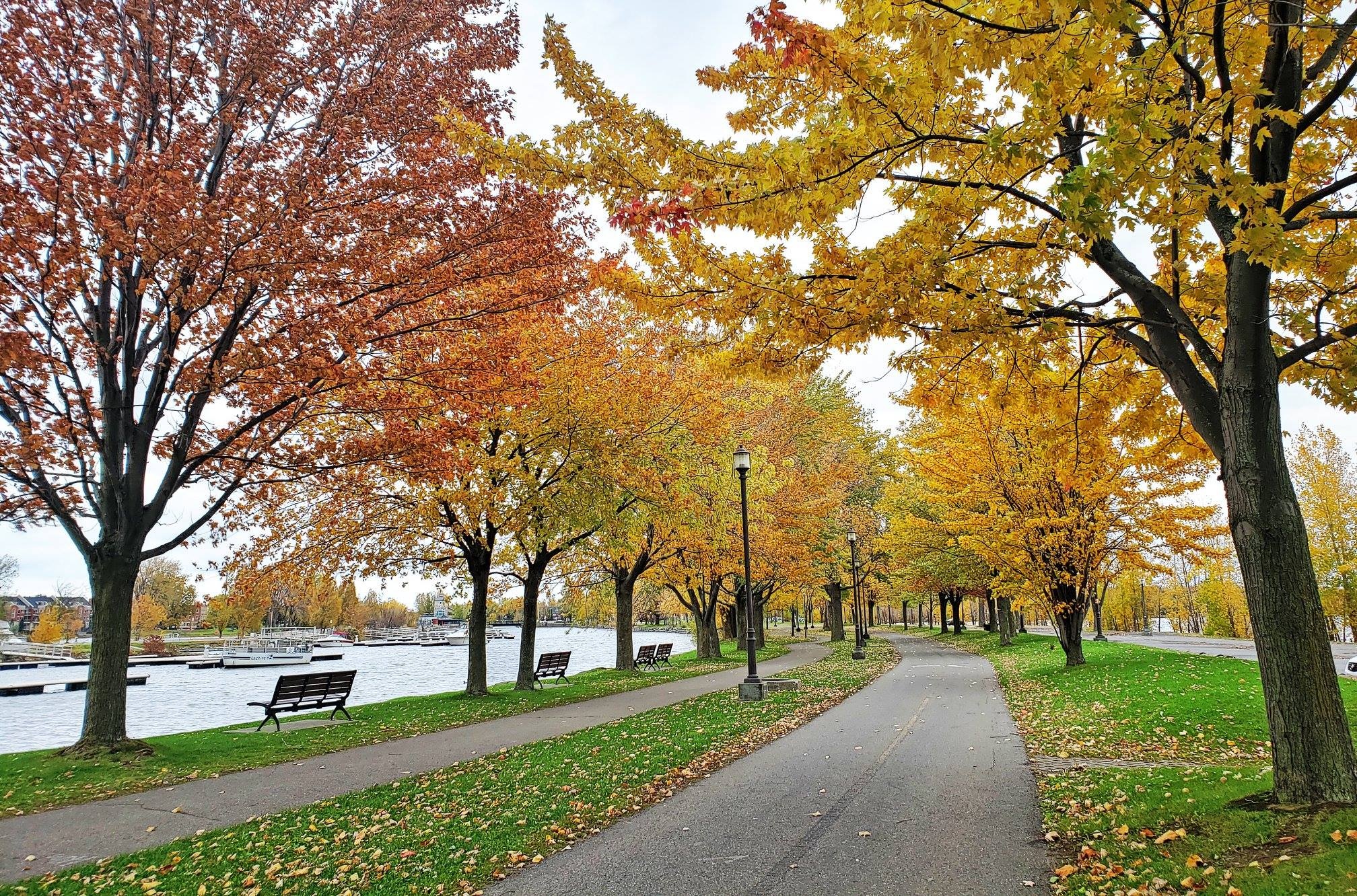 Canada cuối thu ảnh 16 Canada cuoi thu anh 16