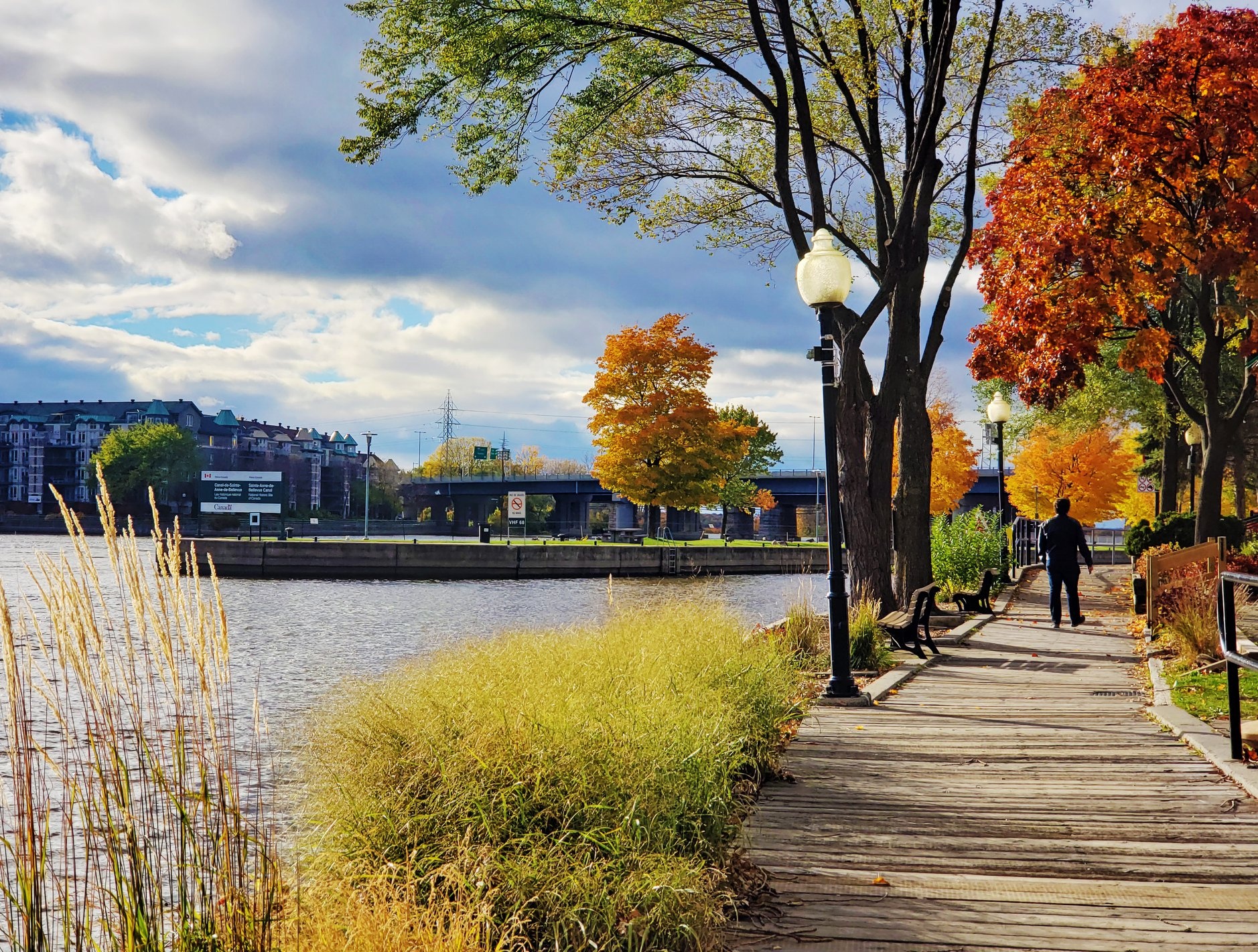 Canada cuối thu ảnh 6 Canada cuoi thu anh 6
