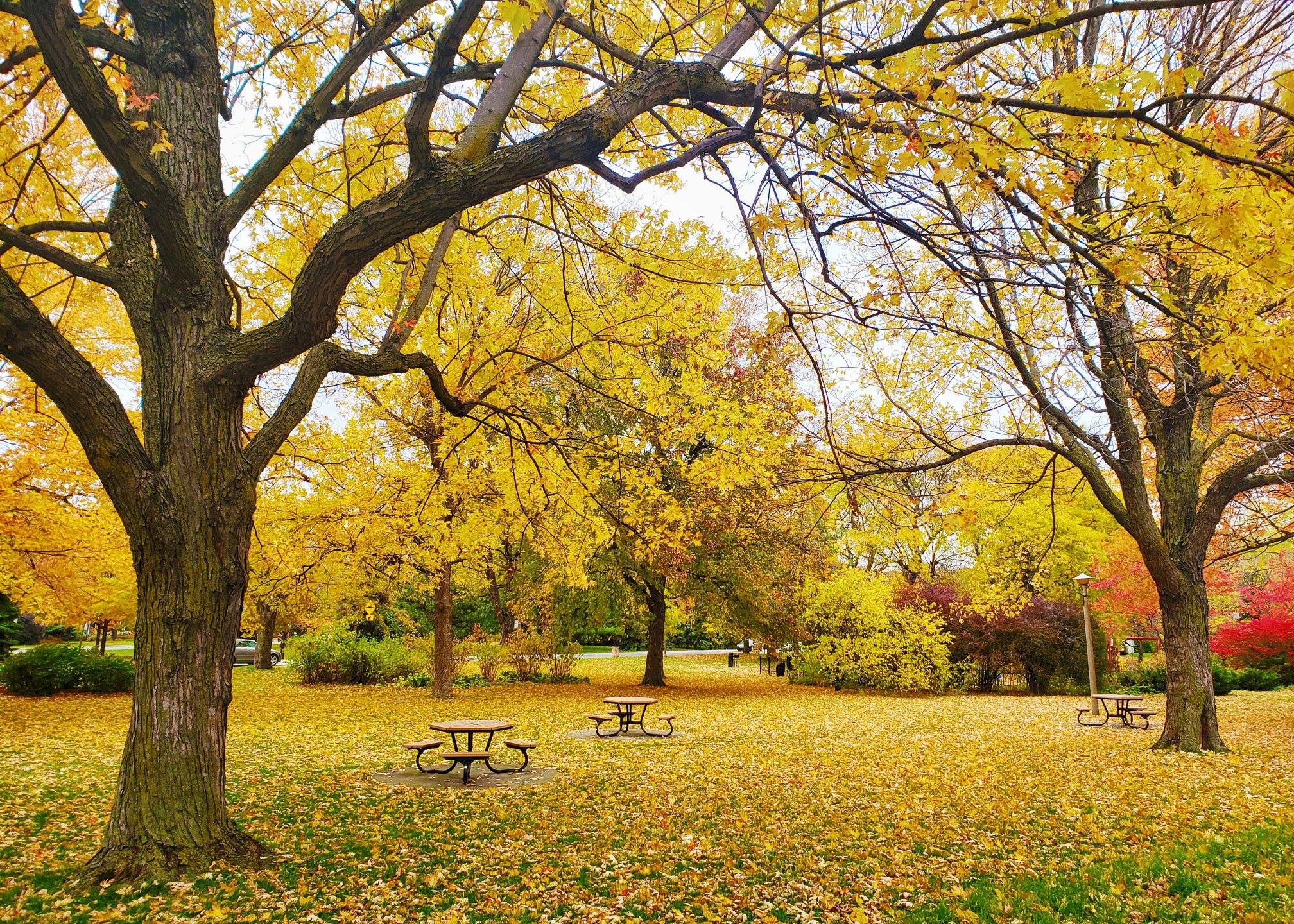 Canada cuối thu ảnh 28 Canada cuoi thu anh 28