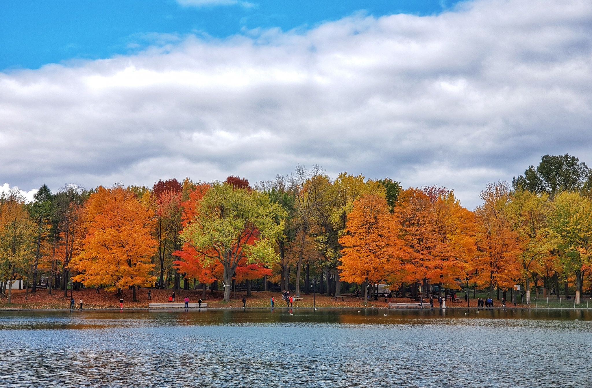 Canada cuối thu ảnh 7 Canada cuoi thu anh 7